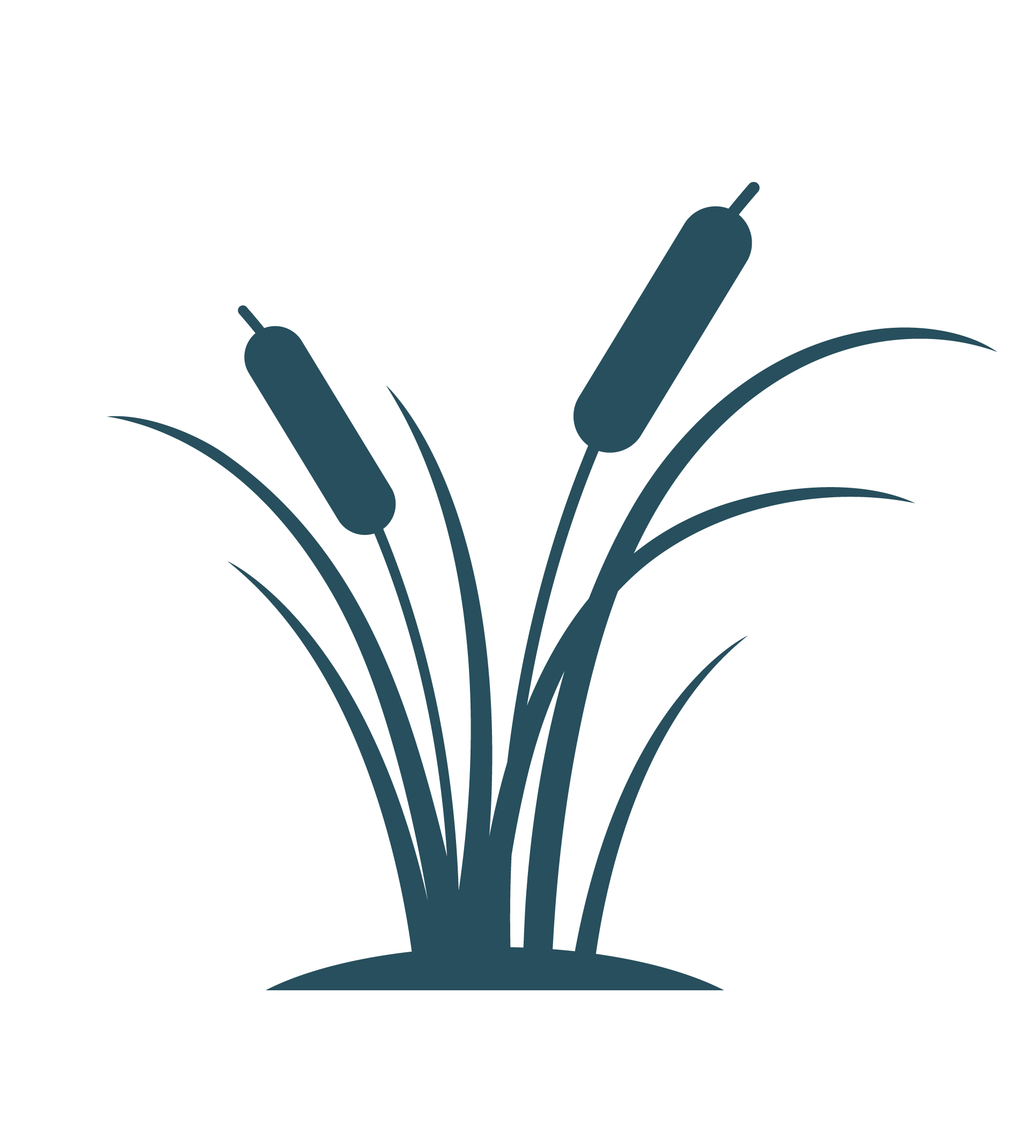 St Johns River Rentals